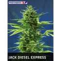 5 UND FEM - JACK DIESEL EXPRESS * POSITRONICS 5 UND FEMINIZADAS