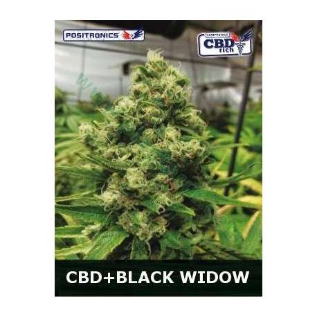 5 UND FEM - BLACK WIDOW CBD * POSITRONICS 5 UND FEMINIZADAS