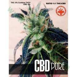 10 UND FEM - CBD PURE * PURE SEEDS 10 UND FEMINIZADA