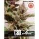 10 UND FEM - CBD ULTRA * PURE SEEDS 10 UND FEMINIZADA