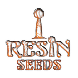 3 UND FEM - HAMMERSHARK * RESIN SEEDS FEMINIZADA 3 UND