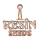 5 UND FEM - HAMMERSHARK * RESIN SEEDS FEMINIZADA 5 UND