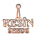 5 UND FEM - HAMMERSHARK * RESIN SEEDS FEMINIZADA 5 UND