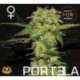 10 UND FEM - PORTELA * R-KIEM SEEDS 10 UND FEMINIZADAS