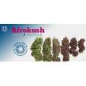 3 UND FEM - AFROKUSH * TROPICAL SEEDS 3 UND FEMINIZADAS