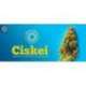 5 UND REG - CISKEI * TROPICAL SEEDS 5 UND REGULARES