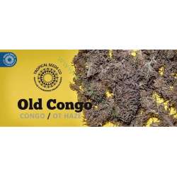 5 UND REG - OLD CONGO * TROPICAL SEEDS 5 UND REGULAR