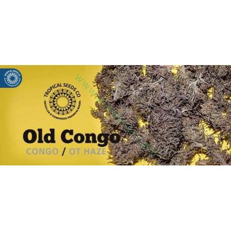 5 UND REG - OLD CONGO * TROPICAL SEEDS 5 UND REGULAR