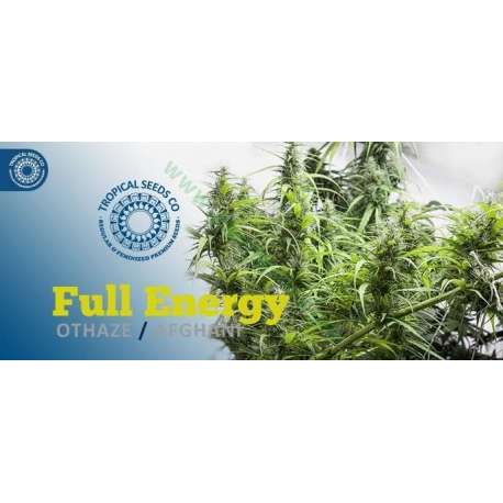 10 UND REG - FULL ENERGY * TROPICAL SEEDS 10 UND REGULARES