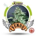 10 UND FEM - KRONIC * VENUS GENETIC 10 UND FEMINIZADAS