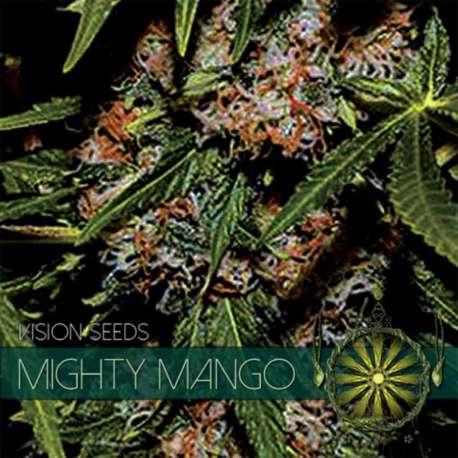 10 UND FEM - MIGHTY MANGO BUD (ETIQUETA FRANCESA) * VISION SEEDS 10 UND FEMINIZADAS