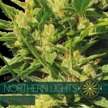 10 UND FEM - NORTHERN LIGHTS AUTOFLOWERING (ETIQUETA FRANCESA) * VISION SEEDS 10 UND FEMINIZADAS