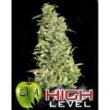 9 UND FEM - HIGH LEVEL * EVA SEEDS 9 UND FEMINIZADAS