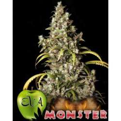 9 UND FEM - MONSTER * EVA SEEDS 9 UND FEMINIZADAS