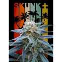 5 UND FEM - SKUNK + * KANNABIA SEEDS 5 UND FEMINIZADAS