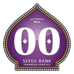 5 UND FEM - AUTOFLORACION MIX. * 00SEEDS 5 UND FEMINIZADAS