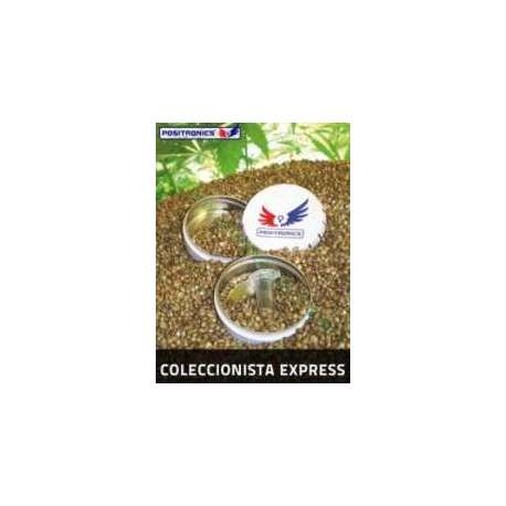 6 UND FEM - COLECCION EXPRESS * POSITRONICS SEEDS 6 UND