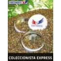 6 UND FEM - COLECCION EXPRESS * POSITRONICS SEEDS 6 UND