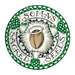 5 UND FEM - SOMA SALAD * SOMA SEEDS 5 UND FEMINIZADAS