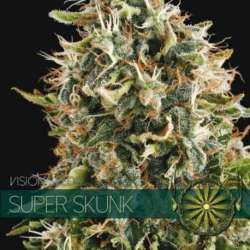 10 UND FEM - SUPER SKUNK * VISION SEEDS 10 UND FEMINIZADAS