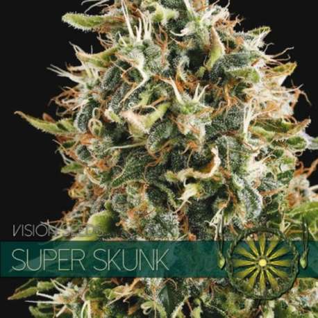10 UND FEM - SUPER SKUNK * VISION SEEDS 10 UND FEMINIZADAS